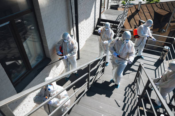 Trusted Tome, NM Mold Removal Experts