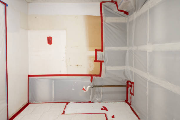 Best Industrial Mold Remediation  in Tome, NM
