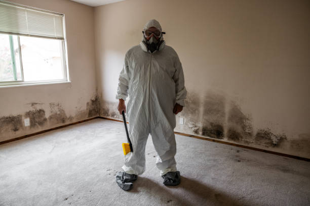 Best Post-Construction Mold Inspection  in Tome, NM
